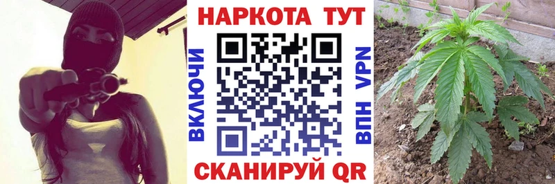 Где найти наркотики Наволоки Cocaine  МЕФ  Alpha-PVP  Амфетамин  Гашиш 