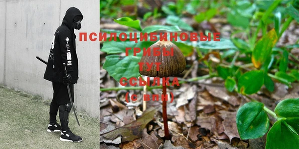 spice Армянск