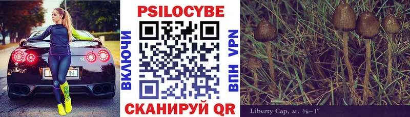 Галлюциногенные грибы мицелий  мега онион  Наволоки 