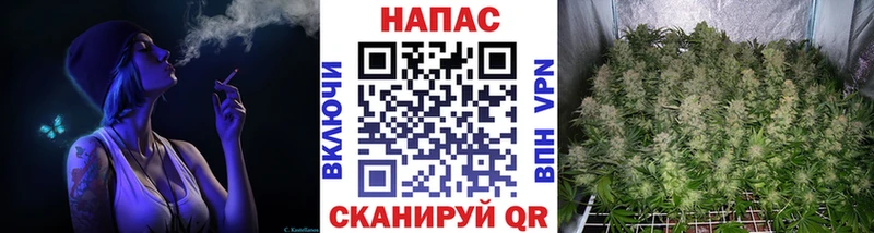 Канабис OG Kush  Наволоки 